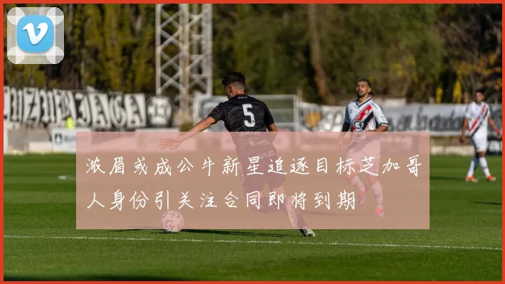 浓眉或成公牛新星追逐目标芝加哥人身份引关注合同即将到期